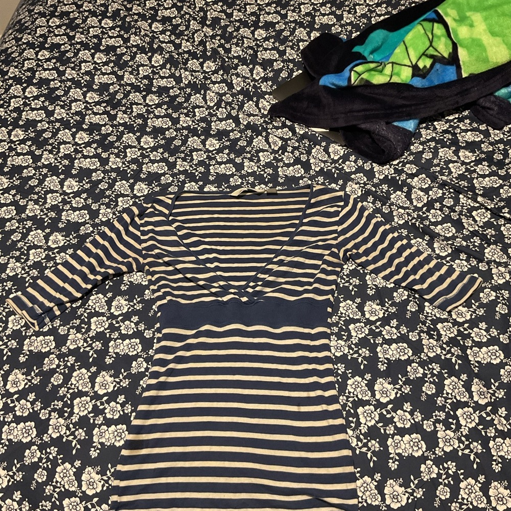 Striped Navy and Beige Dress